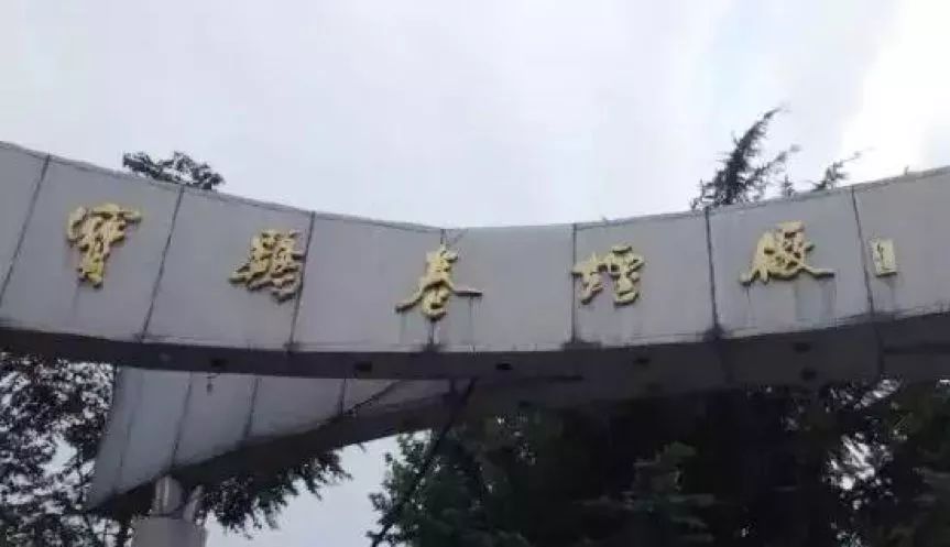 *子烟电**颠覆下，老卷烟厂路在何方