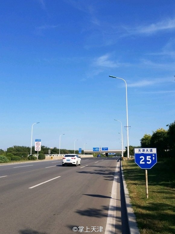 低调的王者完整版,低调的王者奥迪