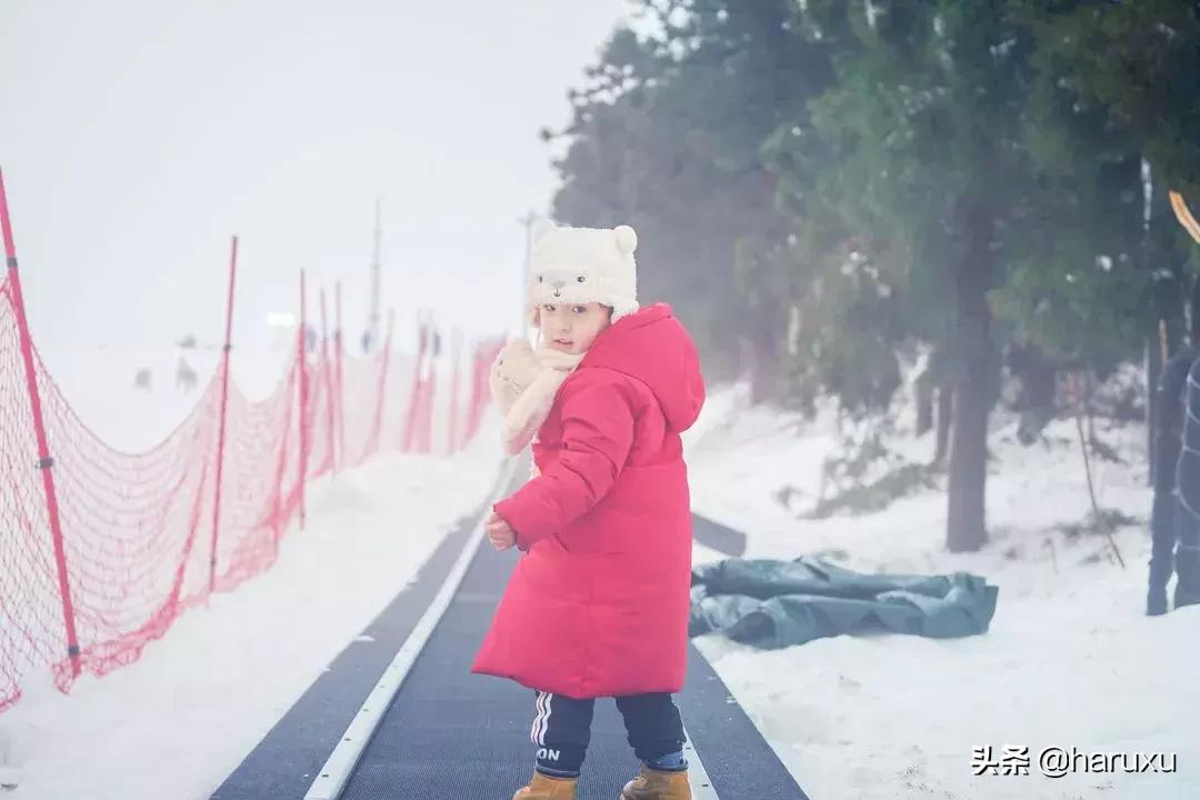 南方也能下雪吗,南方也能见到雪