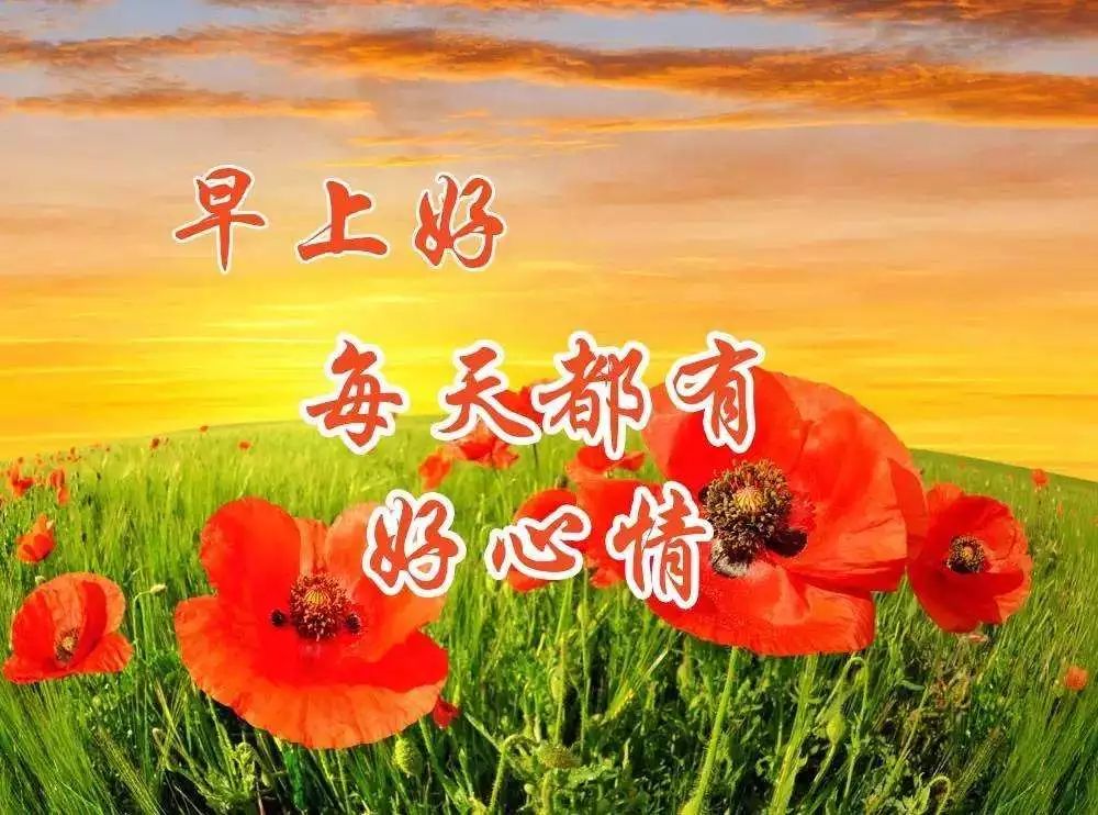 适合老人的音乐相册,适合90岁老人的音乐相册