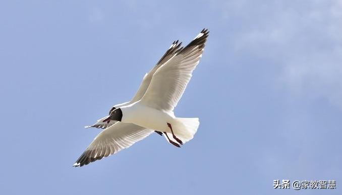 故事:这个50岁的男人,在救护车里求我嫁给他。半路夫妻靠谱吗?