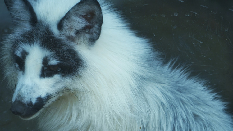 茅山宝盛园周边游玩,茅山宝盛园所有游乐设施