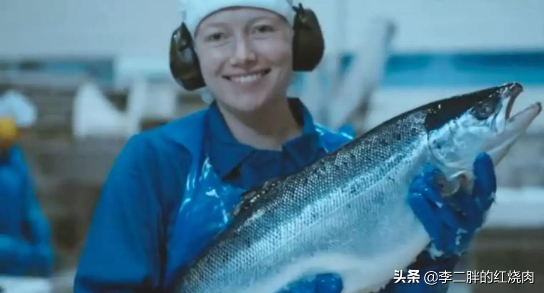 挪威是欧洲国家,挪威是个怎样的国家