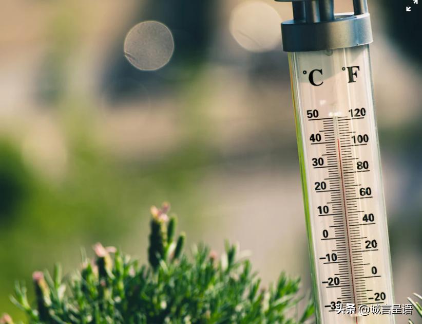 小孩咬坏温度计误吃水银,宝宝咬碎体温计误服水银该怎么办