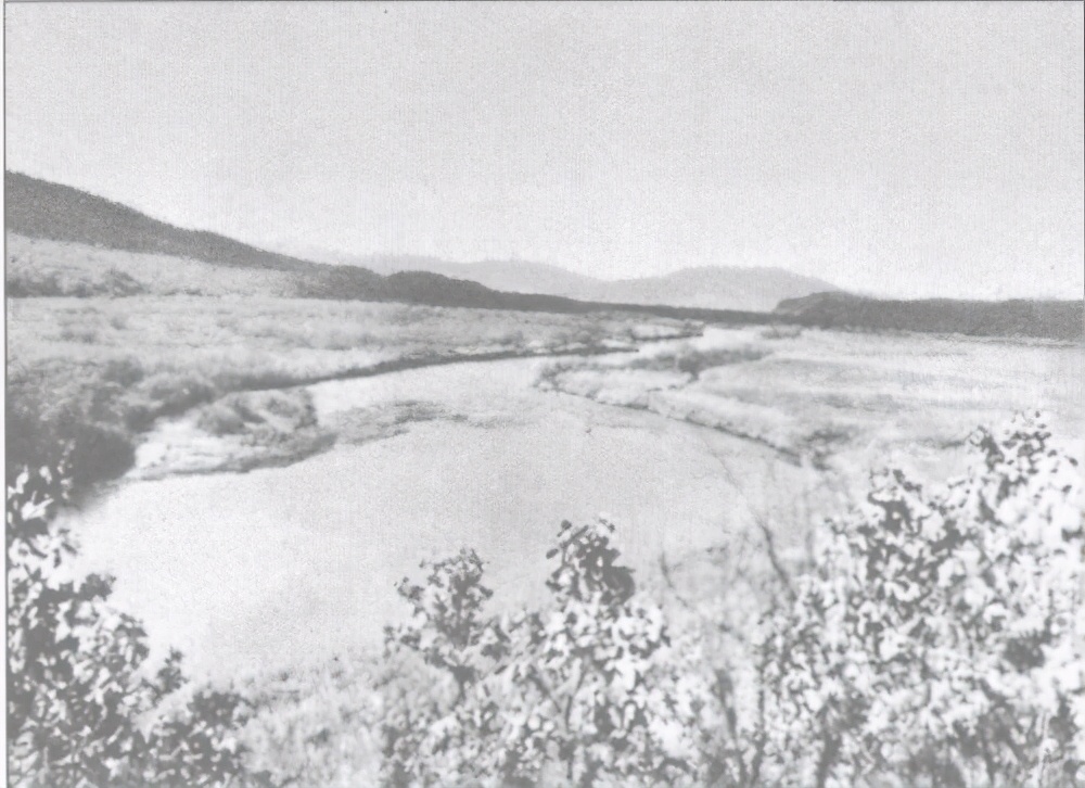 八女投江冷云的故事简介,八女投江中的冷云后代