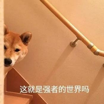 田朴珺万科王石完整版,王石妻子田朴珺