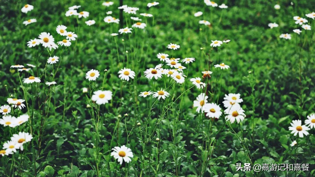 无锡拈花湾投资多少钱,拈花湾投资了多少钱