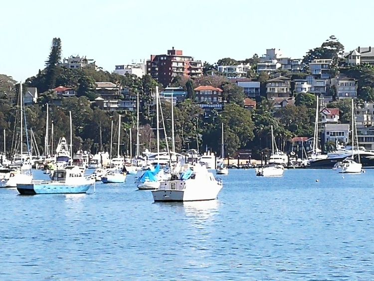 悉尼和墨尔本哪个城市更宜居,悉尼vs上海哪个更适合宜居