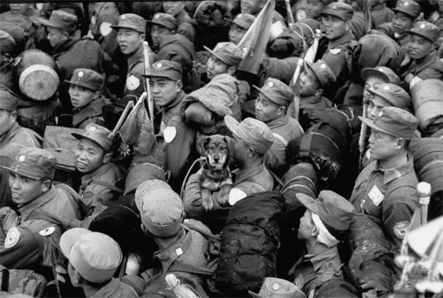 四川一小偷入室盗窃被老板吓到,四川一小偷入室盗窃主人刚好回来