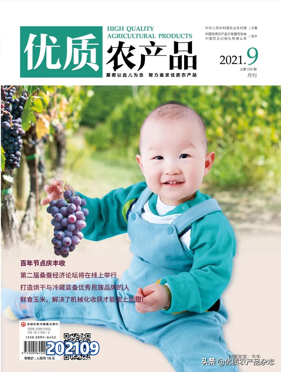 这颗桃不一般!看麻兰油桃如何“桃”人欢心