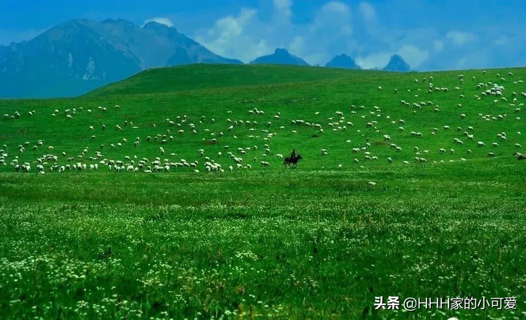 若尔盖大草原人间天堂,若尔盖大草原真美