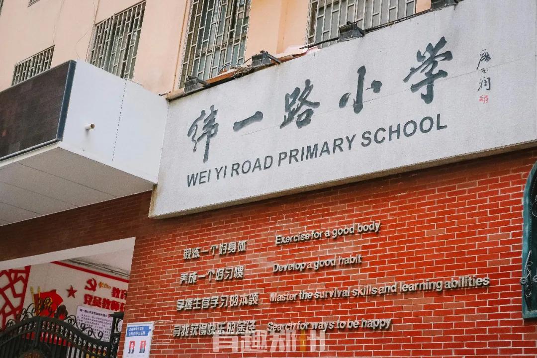 春雨落在叶子上,春雨落在树叶上的详细描写