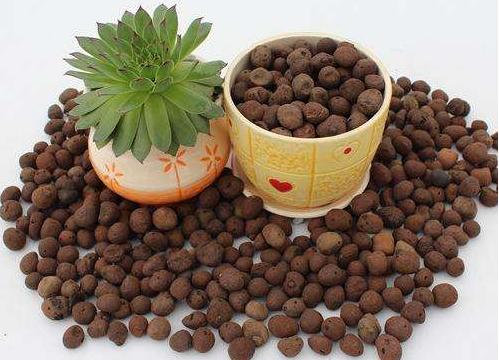 如何为你的植物选择合适的花盆,怎么选择合适的花盆口径