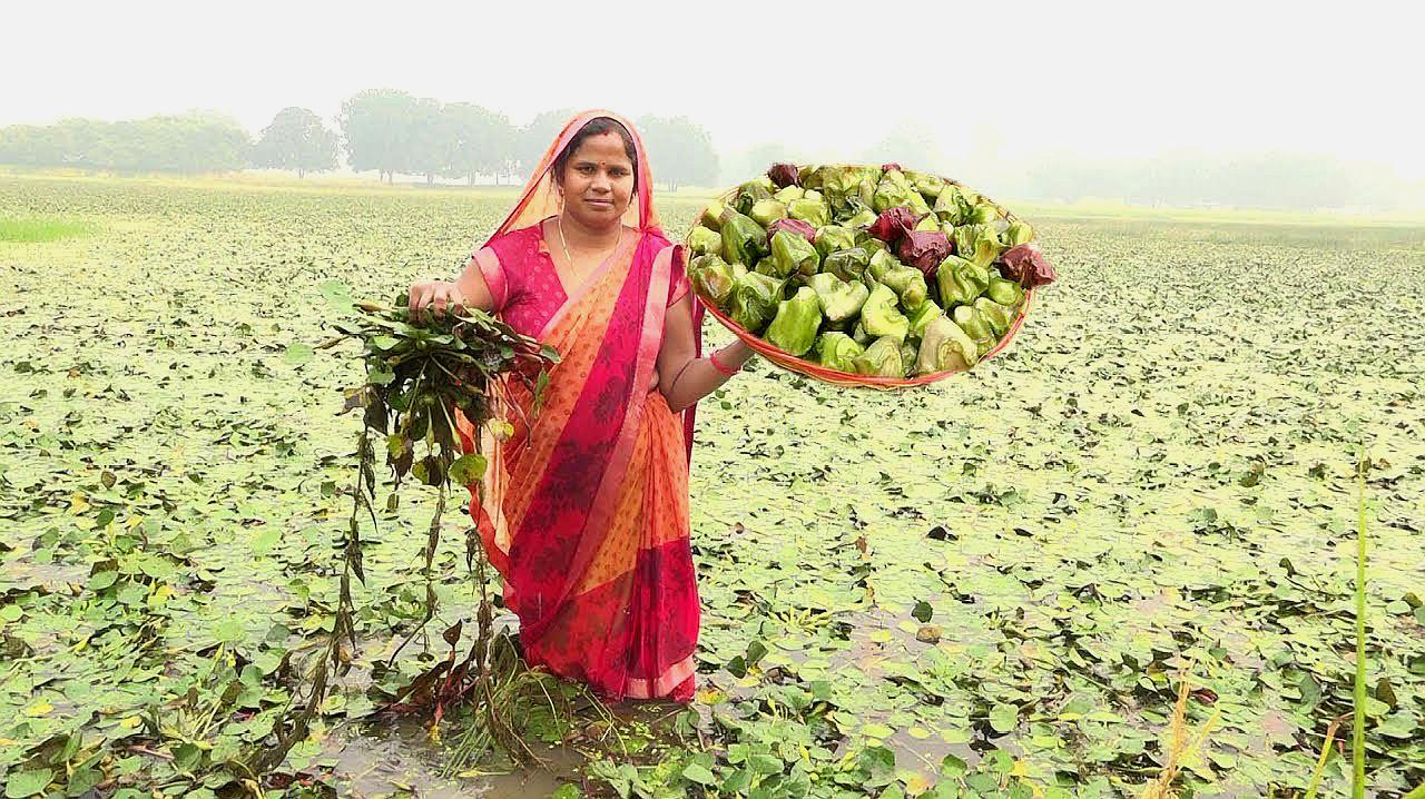 印度人“顺走”中国特产，带回家种植，不料泛滥成灾，还想出口我国