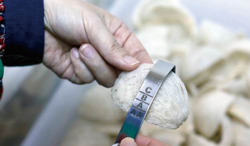 溯源水货燕窝,廉价燕窝骗局