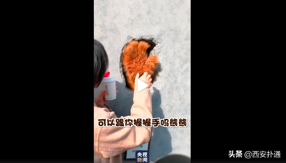 仅凭一个洞就爆火全网，这家熊爪咖啡西安也有了