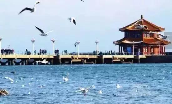 12月机票白菜价！温州出发，最低只要90元！