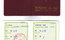 12306宠物托运,宠物可以高铁托运吗