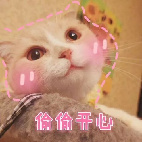 广州南沙国际邮轮港什么时候开通,2023年南沙邮轮母港什么时候开航