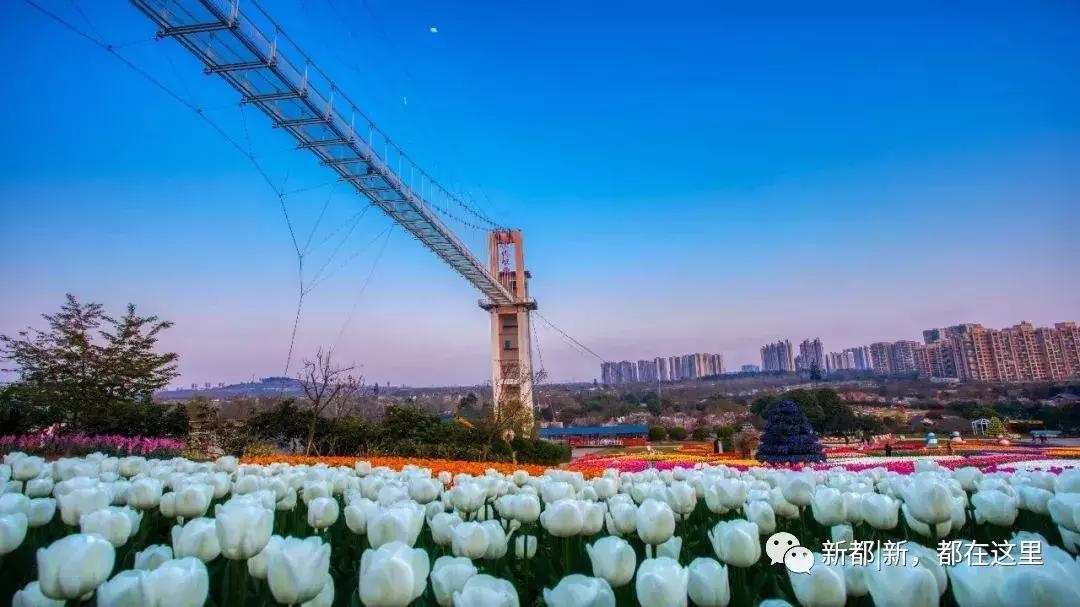 别样馫味！新都天府沸腾小镇，麻辣盛宴等你打卡