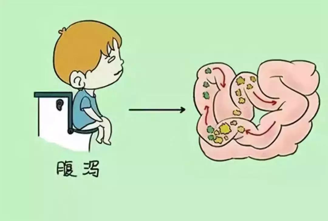 新生儿菌群主要来自什么地方,宝宝建立菌群的时间