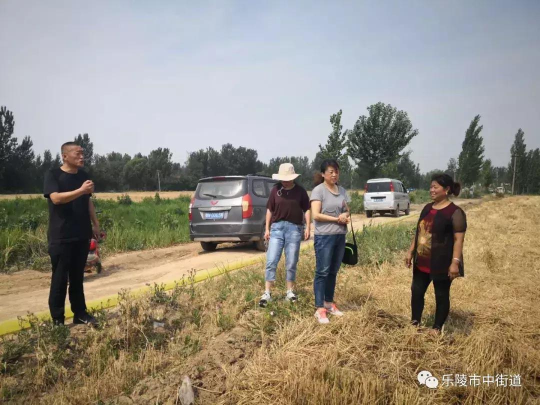 重点工作周报,街道工作周报