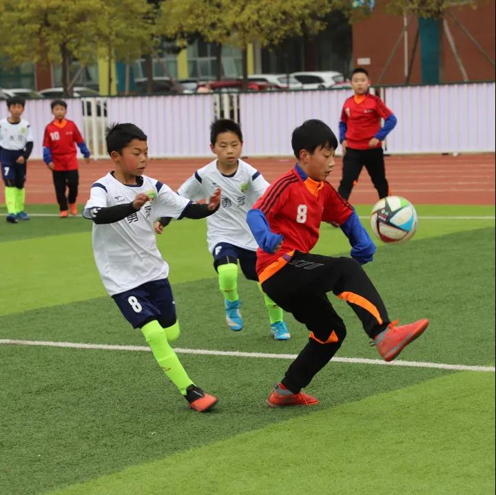 南阳市第十二中学校长陈雅丽,南阳市第四完全学校足球锦标赛