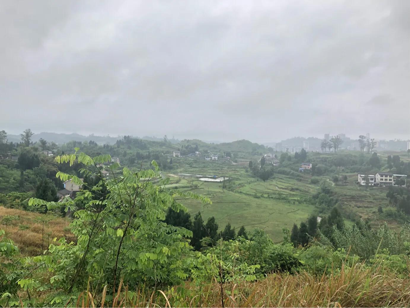 马家岩紫色花树,马家岩宜居