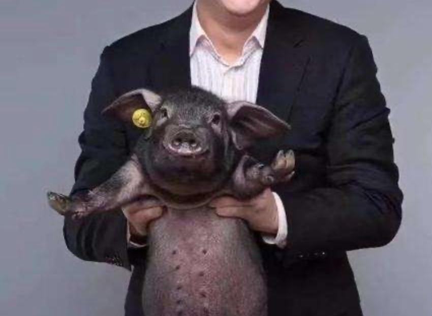 为了人均BBA的梦想,我们来了!(下)