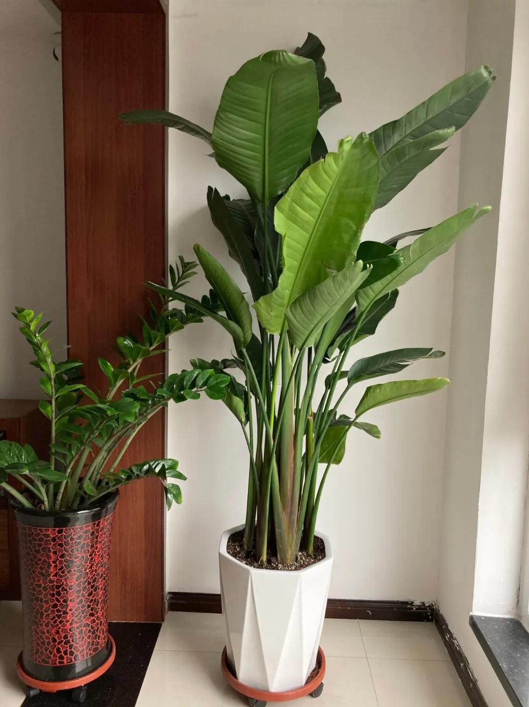 教你如何避开假货买到真品,一张图告诉你怎样分辨假货