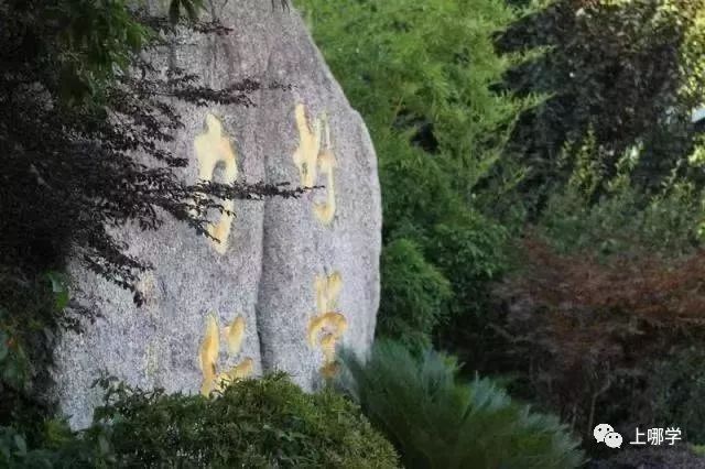 上海最好的十大民办初中,上海各区的顶级初中和一流初中