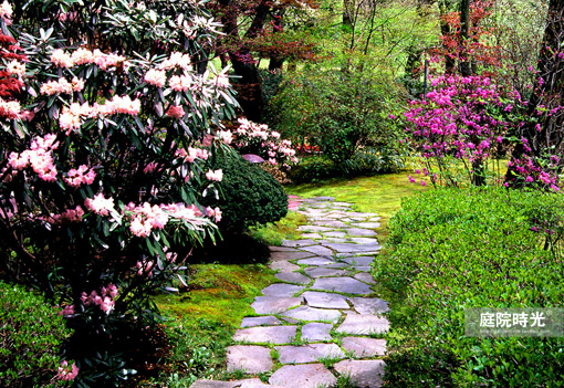 中式庭院古代老石板铺装,庭院铺装样式区域颜色搭配