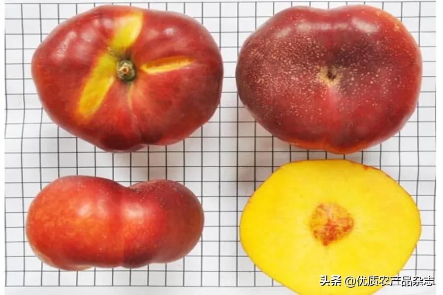 什么种类的黄桃最好吃又甜,鲜食黄桃品种哪个最好吃