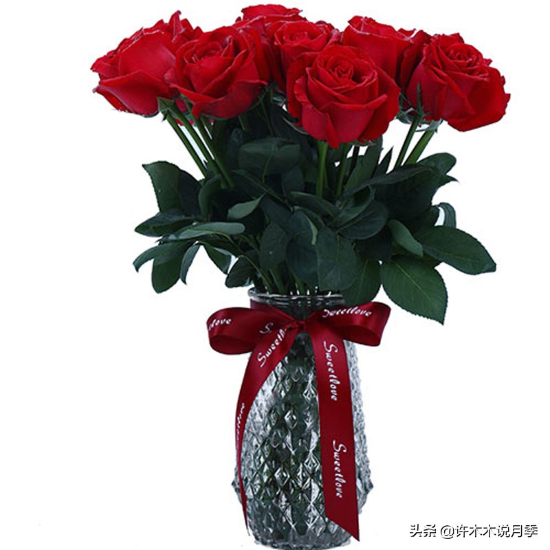 自己买玫瑰花种植,关于种植玫瑰花教程