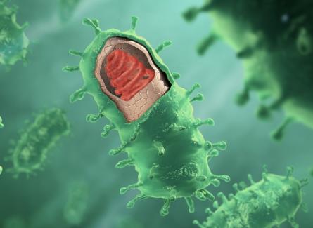 地球最厉害的病毒是什么,世界上有哪些病毒能被灭绝