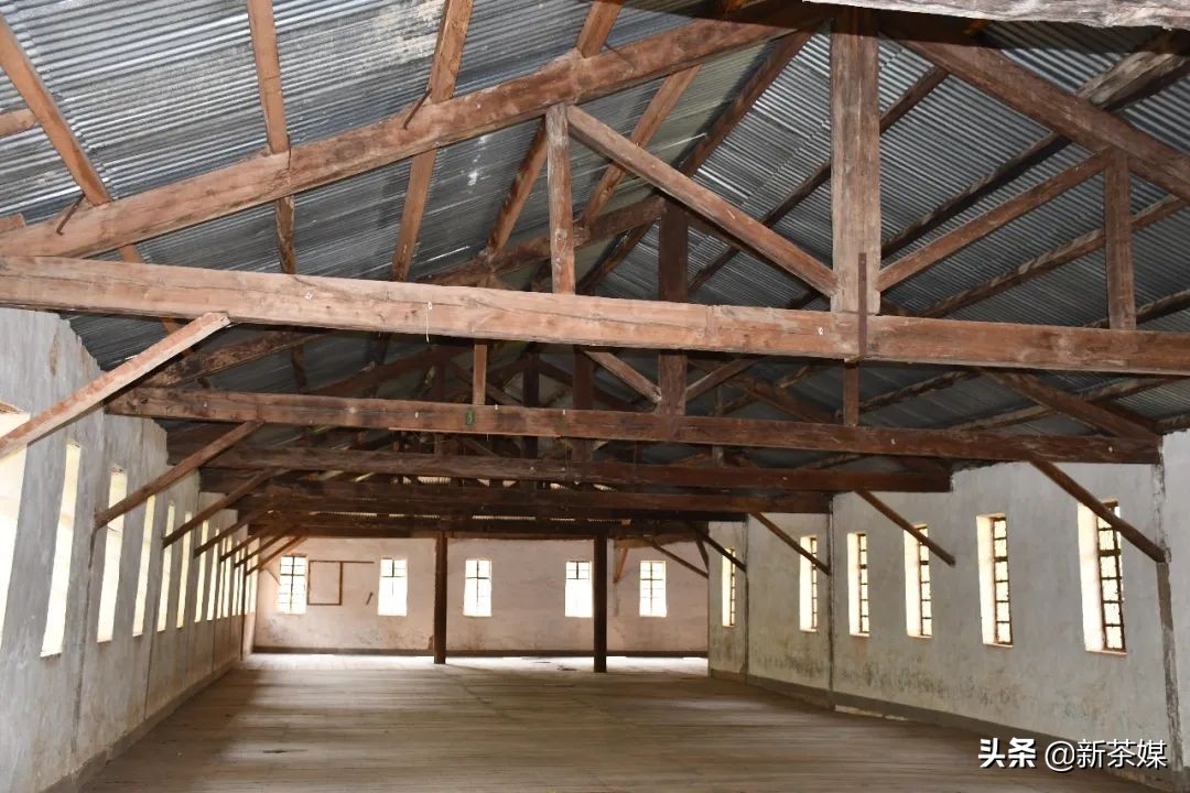 南糯山茶叶的故事,南糯山茶厂视频