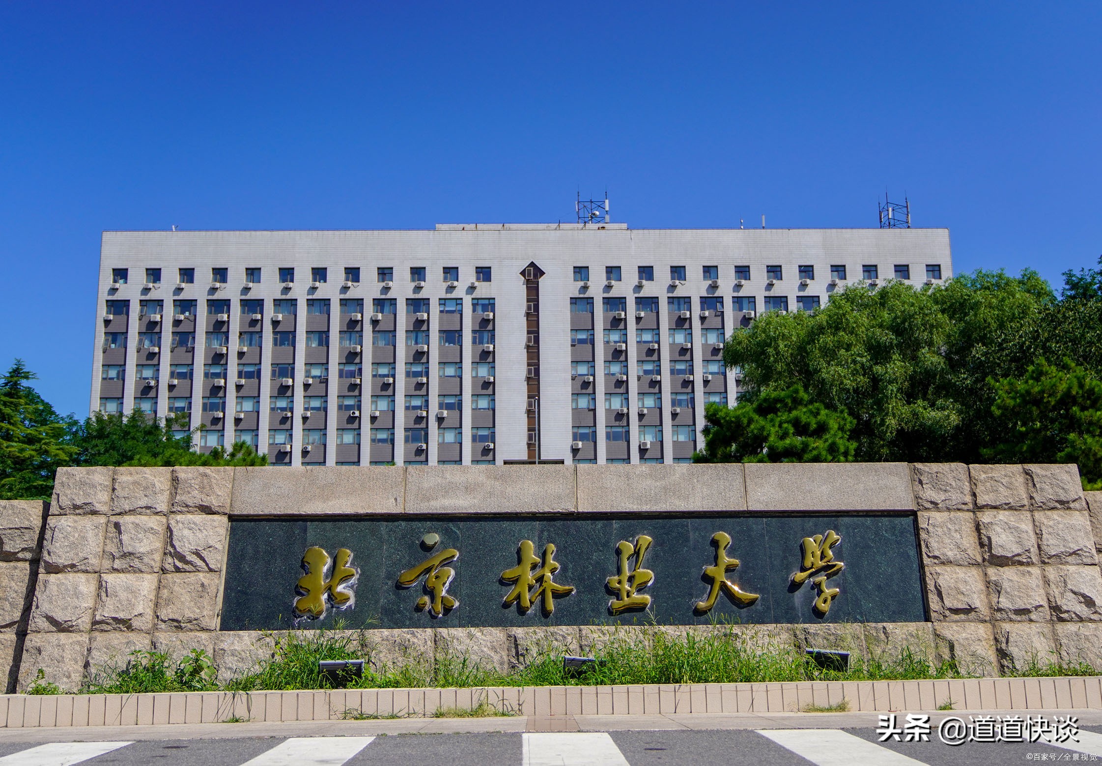 北京林业大学是世界顶尖的大学吗,北京林业大学口碑怎么样好就业吗