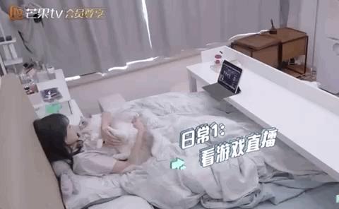 明星的现实生活是怎么样的,明星的生活与普通人有什么不一样