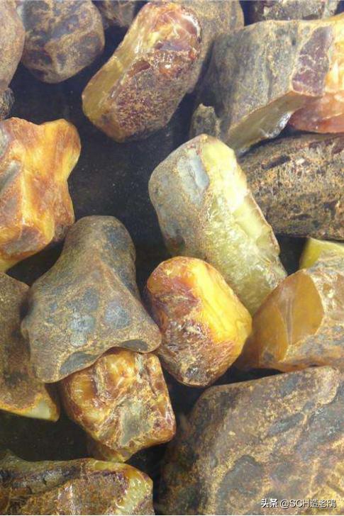 关于琥珀形成的资料,琥珀的种类及介绍