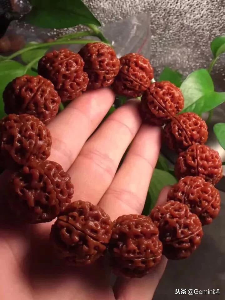 金刚菩提怎么才能清理彻底,怎样把金刚菩提手串清理干净