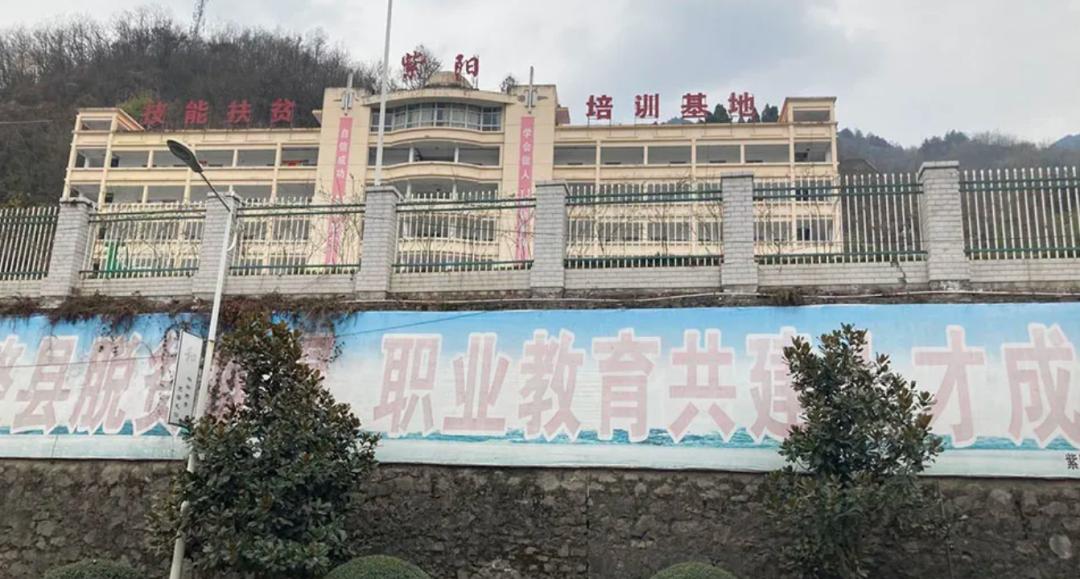 郑远元全国分公司有多少家,全国有多少郑远元集团