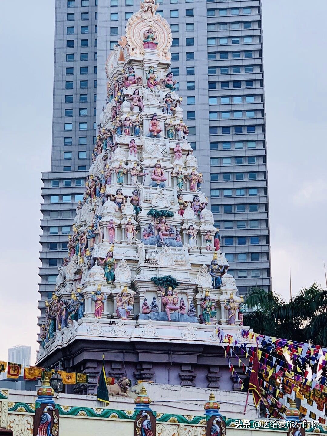 定居新加坡真实感受,旅居新加坡的真实现状