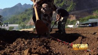 人民大会堂推销土豆，收1500个农民学生，10亿专利无偿送出，64岁的农民院士朱有勇火了！