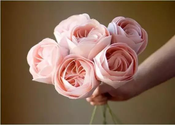 世界上最昂贵的花一朵价值1500万,世界上最高贵的花典雅图文