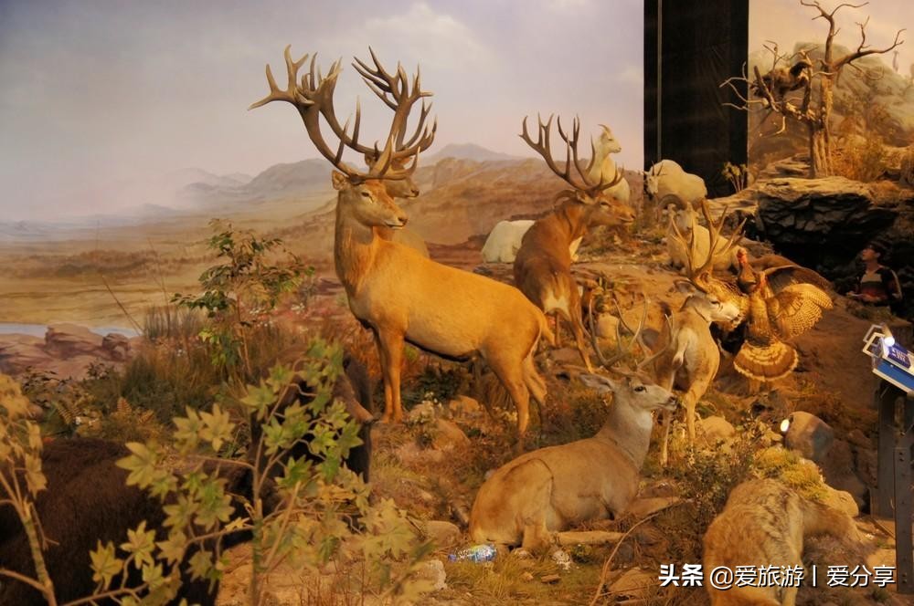 上海科技馆游玩攻略,景点打卡上海科技馆