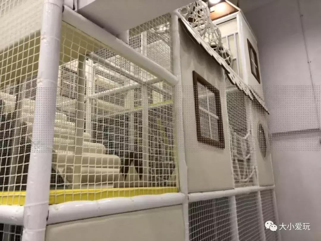 北京亲子酒店民宿推荐,盘点五家仪式感满满的亲子民宿