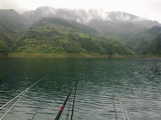 小杂鱼闹窝怎么搞,小杂鱼闹窝的最快解决方法