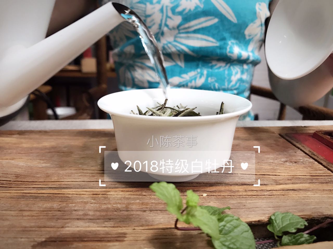 如何从香气辨别茶叶的好坏,买茶时如何分辨茶的好坏