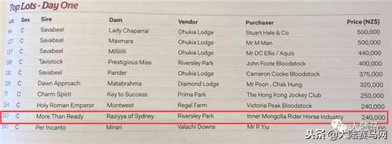 “感受到主人的感觉！”莱德马业中国马主团畅谈新西兰拍卖会