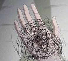 这里的毛毛千万别乱拔！小心会有生命危险